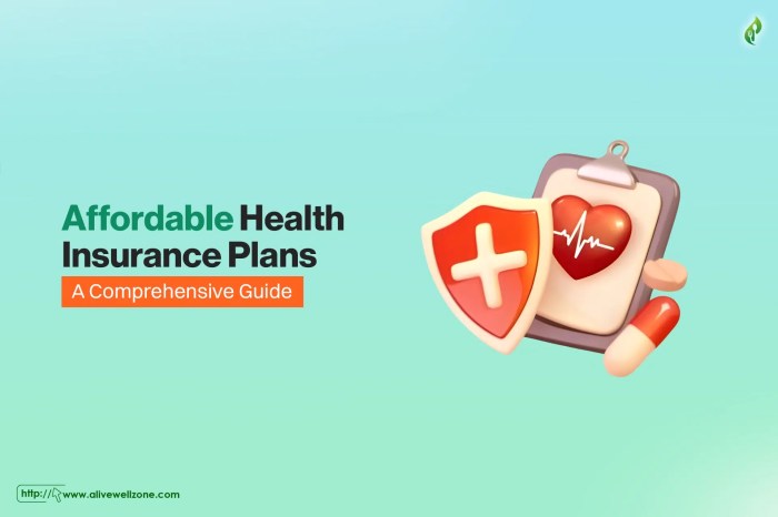 Affordable Health Insurance Plans in 2025 - Alive Well Zone