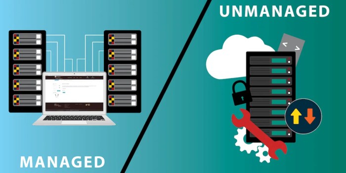 Managed vs. Unmanaged Server Hosting: Which Is Best for You? | Nexcess
