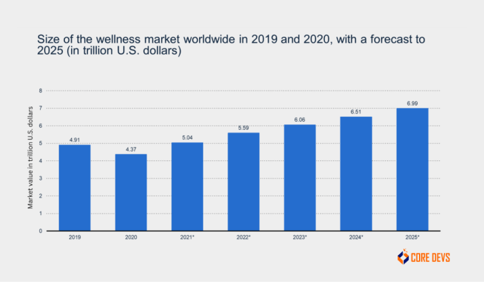 Scope of Wellness Industry in Future: 2023 and Beyond - Core Devs Ltd